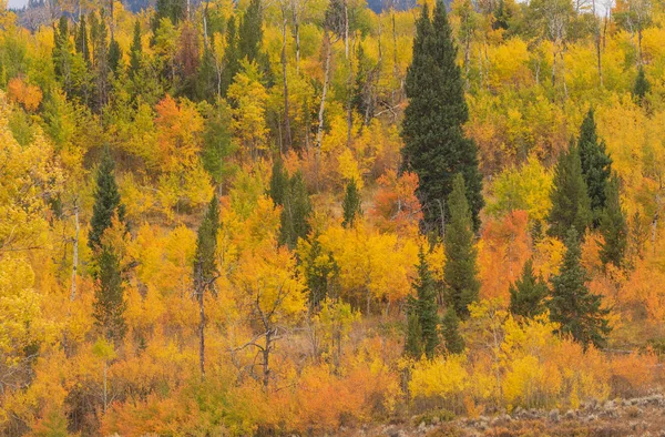 Paesaggio Autunnale Scenografico Nei Teton Del Wyoming — Foto Stock