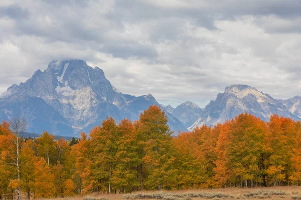 Wyoming Tetonları 'nda manzaralı bir sonbahar manzarası.