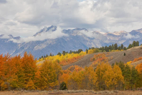 Wyoming Tetonları 'nda manzaralı bir sonbahar manzarası.