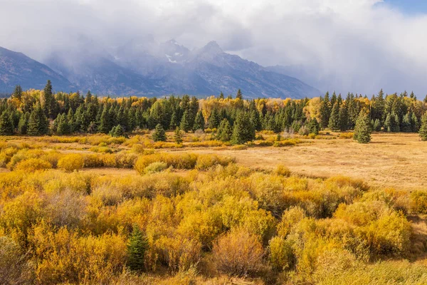 Een Schilderachtig Herfstlandschap Tetons Van Wyoming — Stockfoto