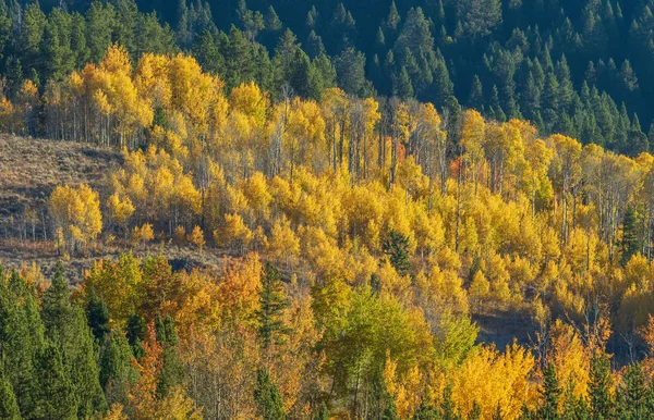 Paesaggio Panoramico Dei Tetoni Autunno — Foto Stock