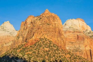 Zion National Park Utah doğal peyzaj