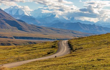 Denali Milli Parkı Alaska doğal peyzaj erken Güz