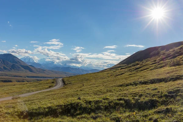 Denali Milli Parkı Alaska Doğal Peyzaj Erken Güz — Stok fotoğraf