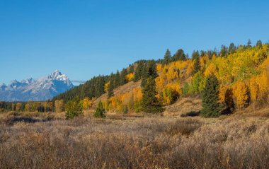 sonbaharda tetons doğal peyzaj