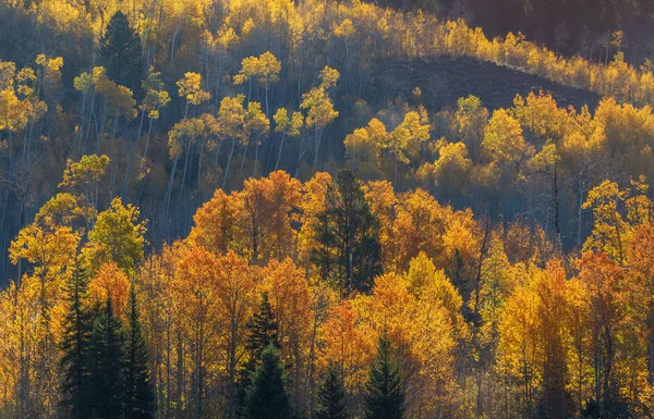 Malowniczy Krajobraz Tetons Jesienią — Zdjęcie stockowe