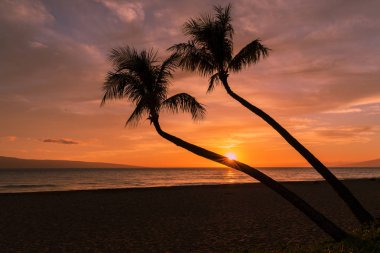 güzel bir gün batımı bir maui Beach