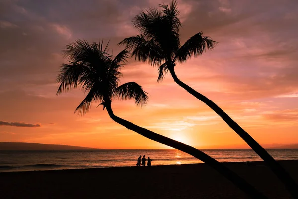 毛伊岛的海滩上一个美丽的黄昏 — 图库照片