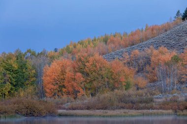 Grand Teton Ulusal Parkı Wyoming 'de manzaralı bir sonbahar manzarası.