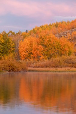 Grand Teton Ulusal Parkı Wyoming 'de manzaralı bir sonbahar manzarası.