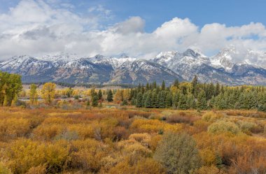 Grand Teton Ulusal Parkı Wyoming 'de sonbaharda manzaralı bir manzara.
