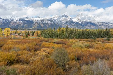Grand Teton Ulusal Parkı Wyoming 'de sonbaharda manzaralı bir manzara.