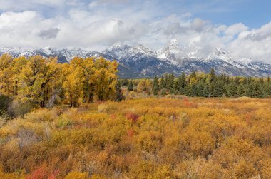 Grand Teton Ulusal Parkı Wyoming 'de sonbaharda manzaralı bir manzara.