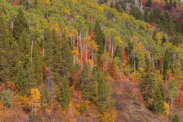 Malowniczy Jesienny Krajobraz Kanionie Rzeki Snake Idaho — Zdjęcie stockowe