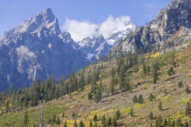 Grand Teton Ulusal Parkı Wyoming 'de manzaralı bir sonbahar manzarası.