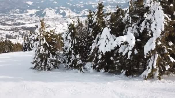 Antény Krásné Horské Krajině Stromy Sněhem Nízká Jevištní — Stock video