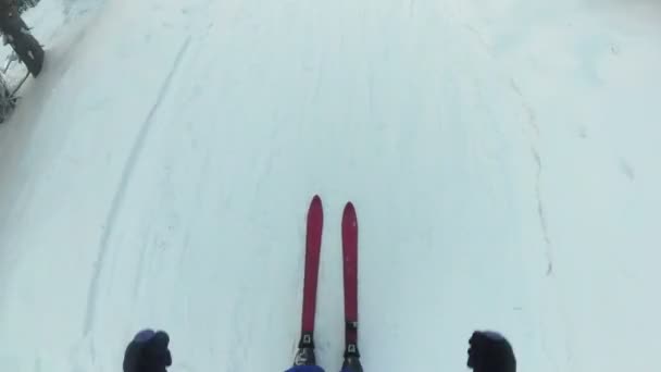 Man Mountain Skiër Met Stokken Zonnige Dag — Stockvideo