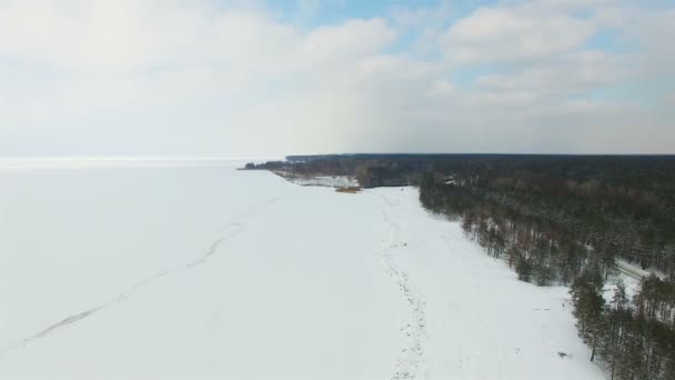 Antenn Vinterlandskap Med Frusna Havet Eller Sjön Med Kustremsa — Stockvideo