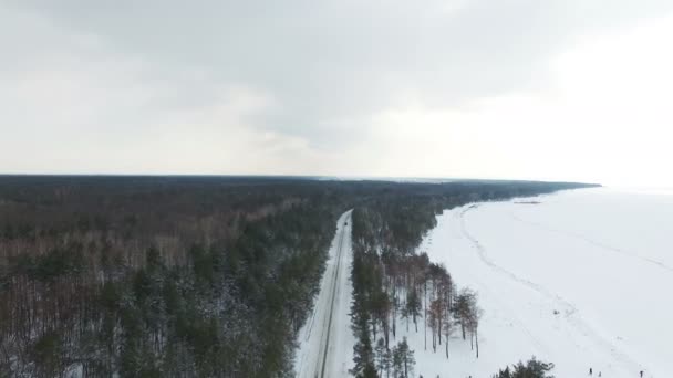 Aerial Winter Landscape Frozen Sea Road Wood — Stock Video