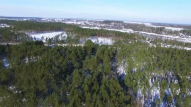 Hava. Kış ahşap kırsal alanda üzerinde uçmak