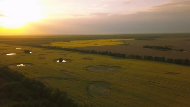 Повітряний Пейзаж Полями Красивим Кольоровим Небом Під Час Заходу Сонця — стокове відео
