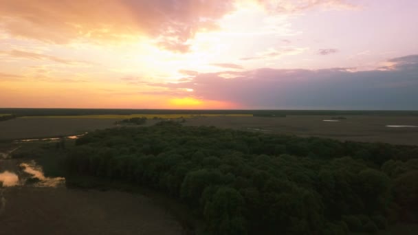 Aerial Landschaft Mit Holz Und Wunderschönem Farbhimmel Bei Sonnenuntergang — Stockvideo