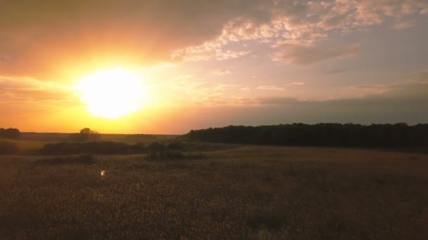 Antény Krajina Holí Krásné Barvy Oblohy Západu Slunce — Stock video