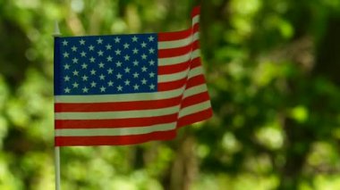 Amerikan bayrağı ağır çekimde. Orman yeşil arka plan