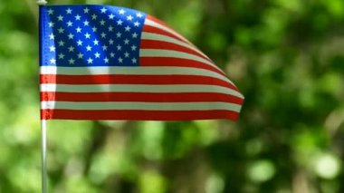 Ağır çekim, kaymak yaklaşım Amerikan bayrağı. Orman yeşil arka plan