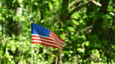 Ağır çekim Amerikan bayrağı, orman yeşil arka plan bulanık.