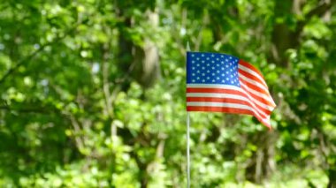 Ağır çekim Amerikan bayrağı, orman yeşil arka plan bulanık.