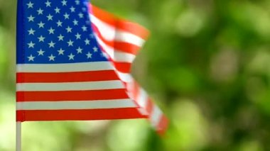 Amerikan bayrağı yavaş, yakın çekim, orman yeşil arka plan bulanık