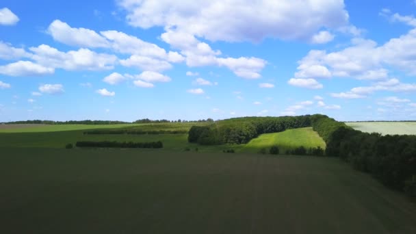 Εναέρια Πετούν Πάνω Πάνω Από Πράσινο Χωράφι Την Άνοιξη — Αρχείο Βίντεο