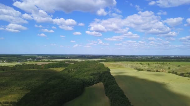 Aerial Fly Spring Green Field Agricultural Fields — Stock Video