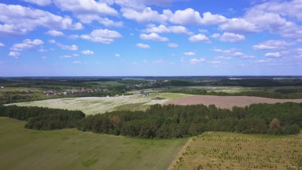 Aerial Vola Sopra Campi Verdi Primaverili Cielo Nuvole Paesaggio Agricolo — Video Stock