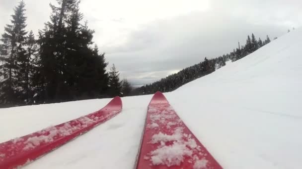 Berg Skidåkning Med Röda Ski Pov Klipp — Stockvideo