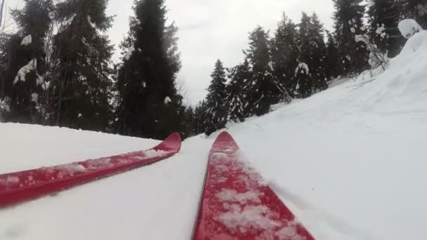 山地滑雪用红色滑雪在木头 视窗剪辑 — 图库视频影像