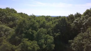 4k hava. İçten ve üzeri ahşap kadar. Güzel güneş ışığı, arka sinek