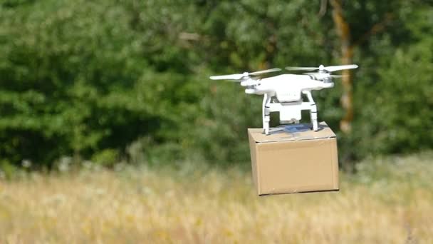 Aerial Drone Delivers Cargo Box Field Slow Motion — Stock Video