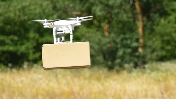 Aerial Drone Delivers Cargo Box Field Close Slow Motion — Stock Video