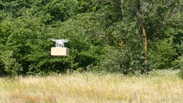 Aereo Drone Consegna Scatola Carico All Aperto Rallentatore — Video Stock