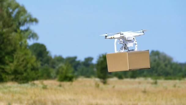 Drone Delivers Cargo Box Rural Area Slow Motion — Stock Video