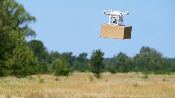 Drone Avec Boîte Fret Tourner Dans Zone Rurale Mouvement Lent — Video