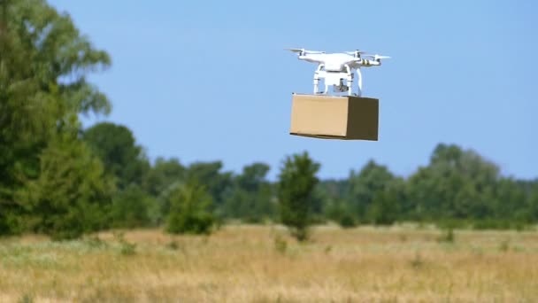 Drone Cargo Box Fly Pryč Zpomalený Pohyb — Stock video