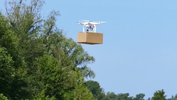 Drone Blanco Entrega Caja Carga Área Rural Primer Plano Cámara — Vídeos de Stock