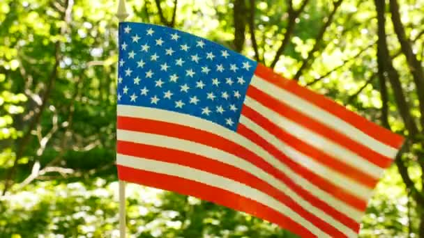 Αμερικανική Σημαία Στο Δάσος Πράσινο Φόντο Ήλιο Ακτίνες — Αρχείο Βίντεο