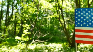 4k. Orman yeşil arka plan, dolly atış Amerikan bayrağı