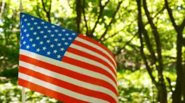 4k. Orman yeşil arka plan, Güneş ışınları, sol tarafta Amerikan bayrağı