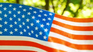 4k. Amerikan bayrağı orman yeşil arka planda, yakın çekim