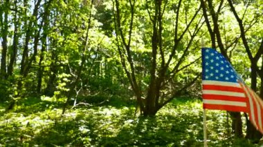 4k. Orman yeşil arka plan, dolly atış Amerikan bayrağı